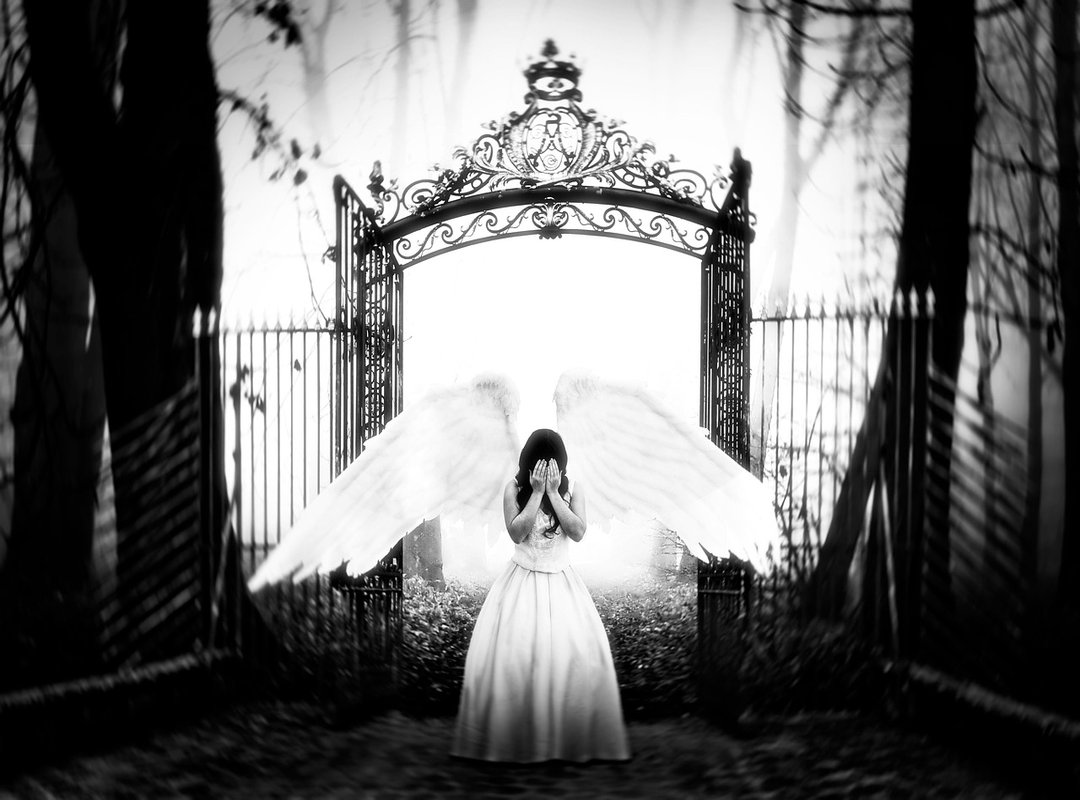 How to Find the Latest Gadjets Zardgadjets