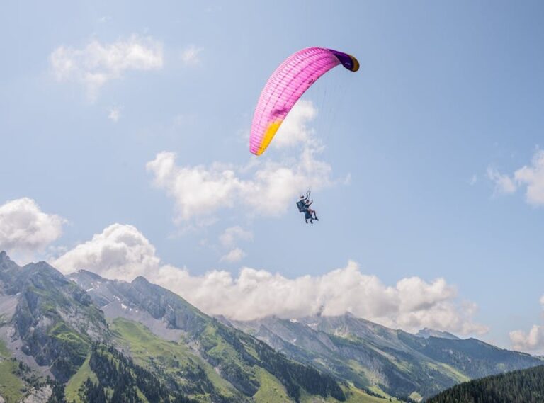 ideias para telheiros