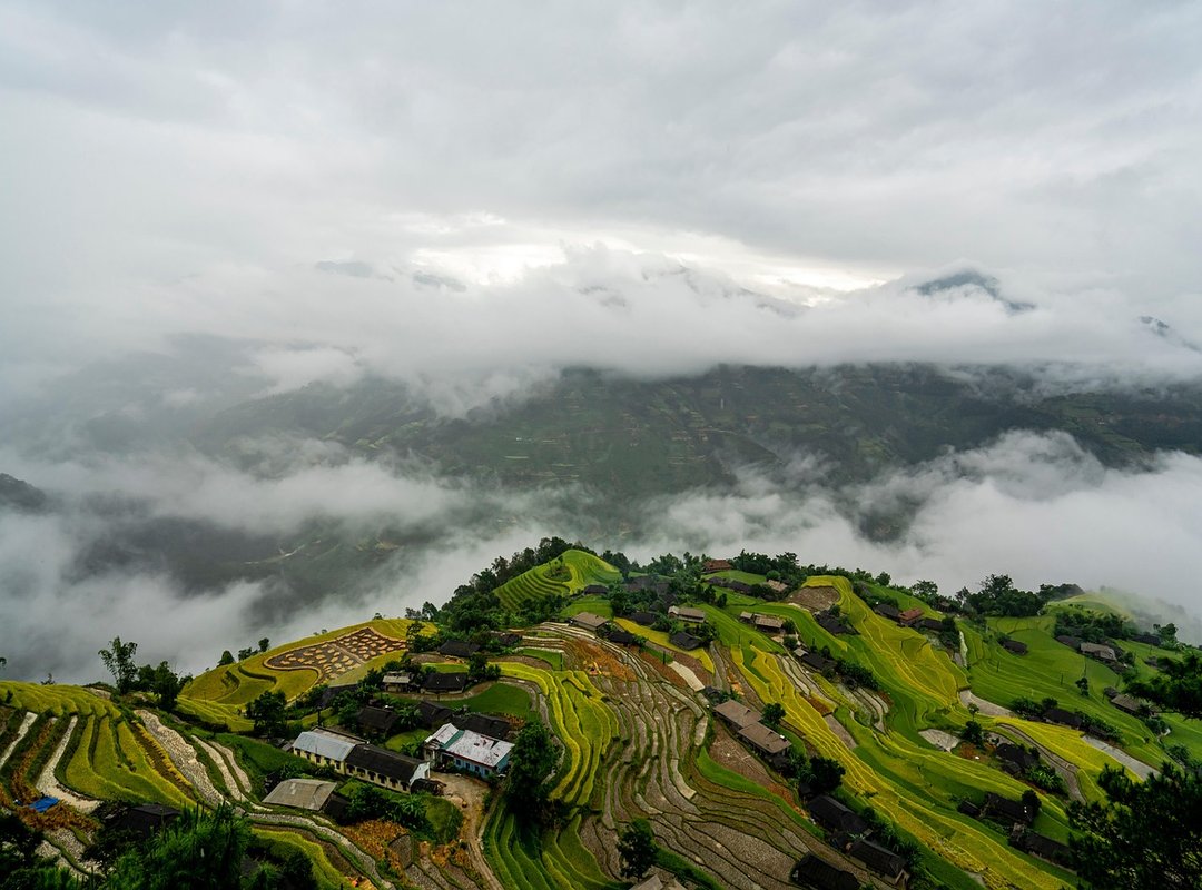 Set up Instructions Scookiepad