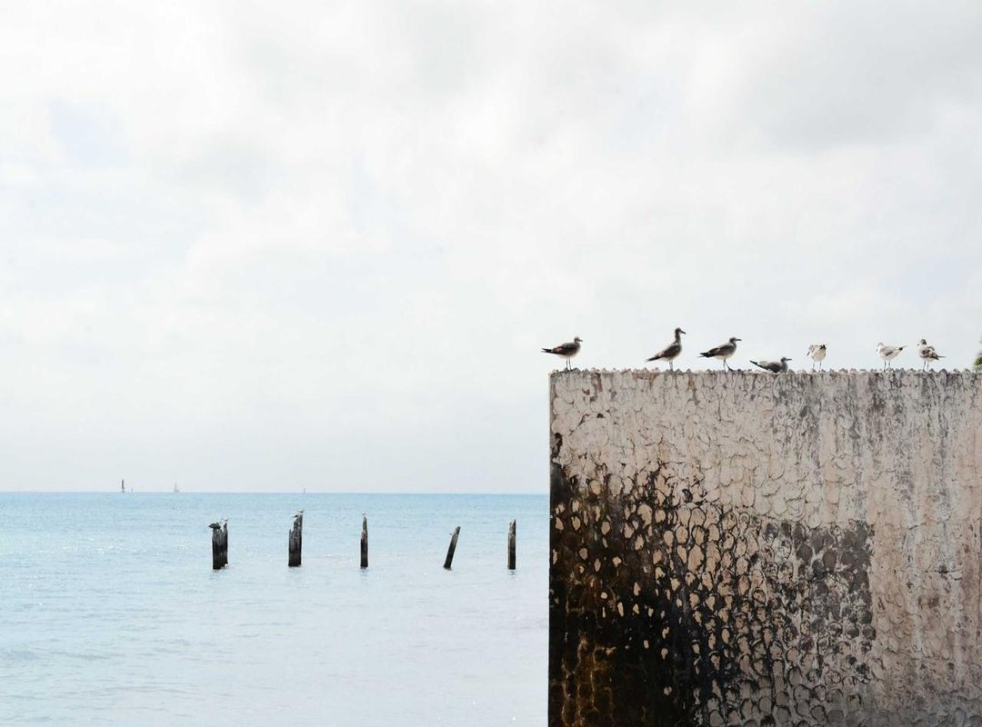 Celebrating Freedom: The 'Goodbye Tension, Hello Pension' GIFs