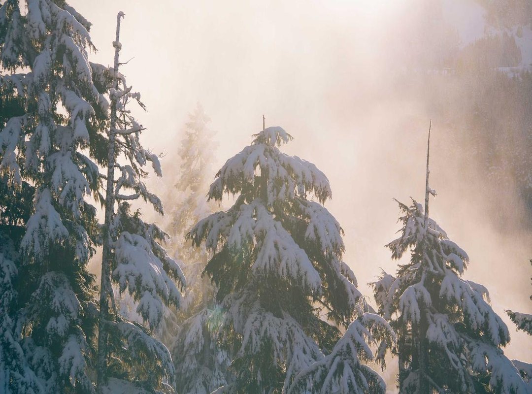 Beyond the Gossip: Focusing on Her Actual Career and Content