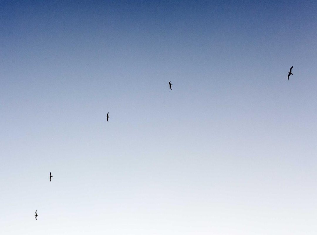 Beyond the Game: The Person Behind the Handle