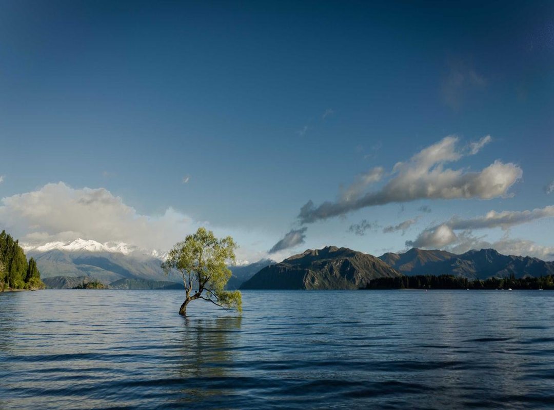 Recognizing Public Agent Behavior: Common Examples