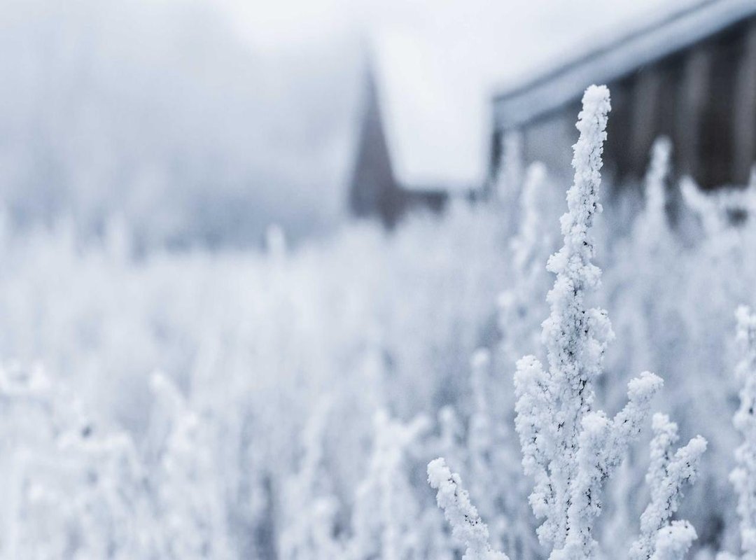 Decoding the Data: Key Metrics to Analyze for Malaysian Channels